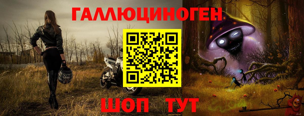купить наркоту  Вход с VPN  Ноябрьск  Галлюциногенные грибы Psilocybine cubensis 